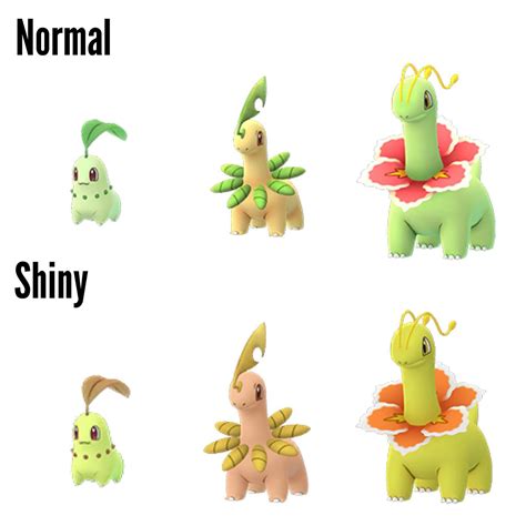 chikorita evolution pokemon go.